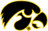 Iowa logo